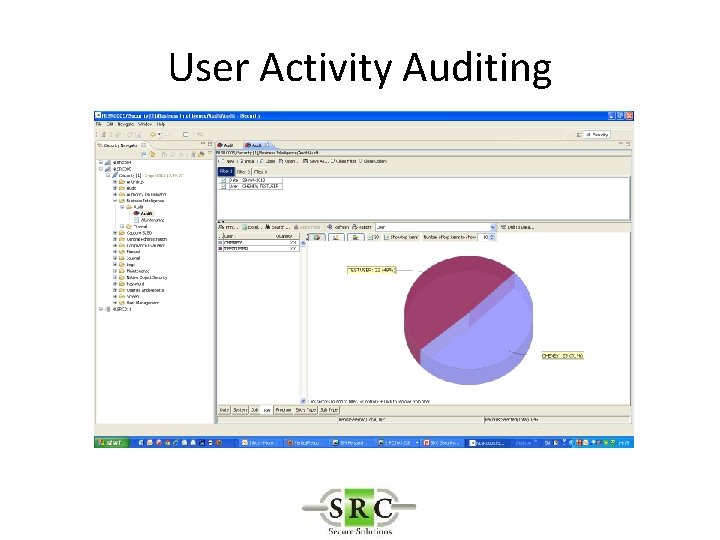 User Activity Auditing 