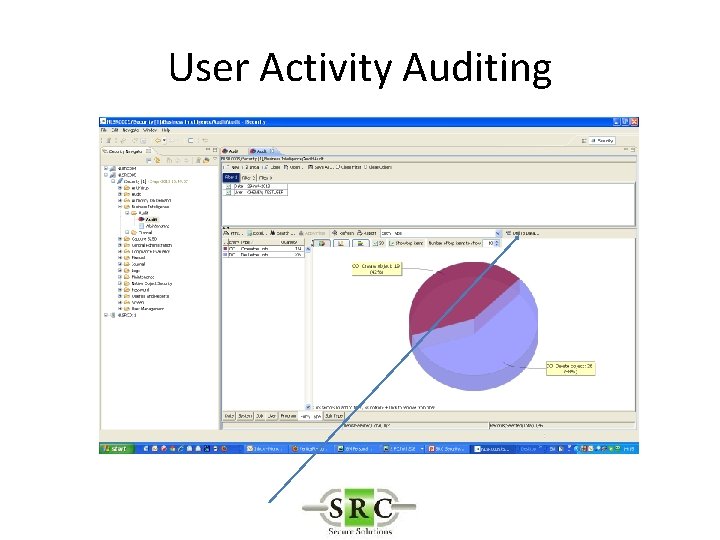 User Activity Auditing 