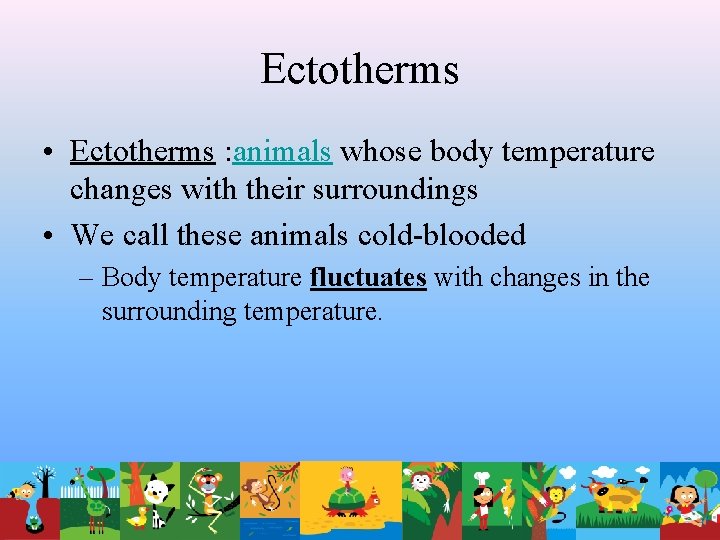 Ectotherms • Ectotherms : animals whose body temperature changes with their surroundings • We