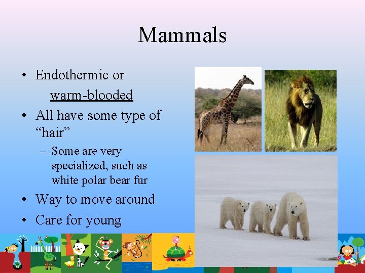 Mammals • Endothermic or warm-blooded • All have some type of “hair” – Some