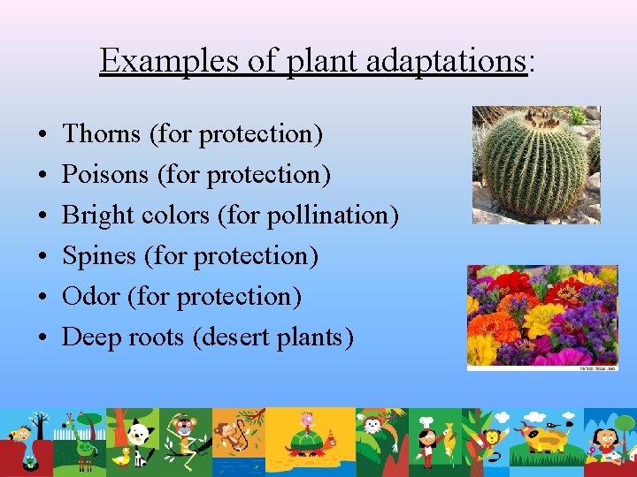 Examples of plant adaptations: • • • Thorns (for protection) Poisons (for protection) Bright