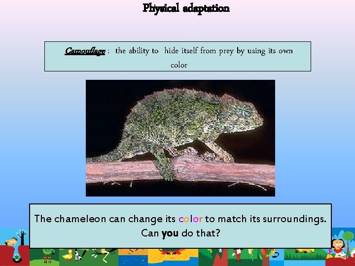 Physical adaptation Camouflage : the ability to hide itself from prey by using its