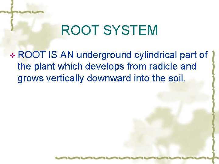 ROOT SYSTEM v ROOT IS AN underground cylindrical part of the plant which develops