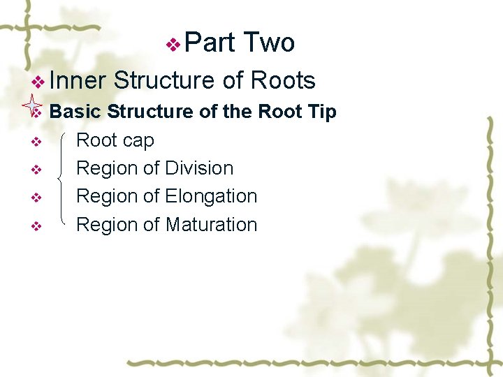 v Part v Inner v v v Two Structure of Roots Basic Structure of