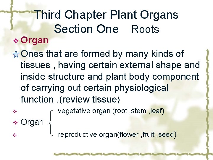 Third Chapter Plant Organs Section One Roots v Organ v Ones that are formed