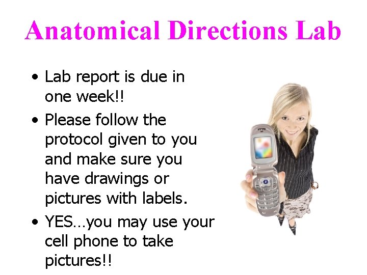 Anatomical Directions Lab • Lab report is due in one week!! • Please follow