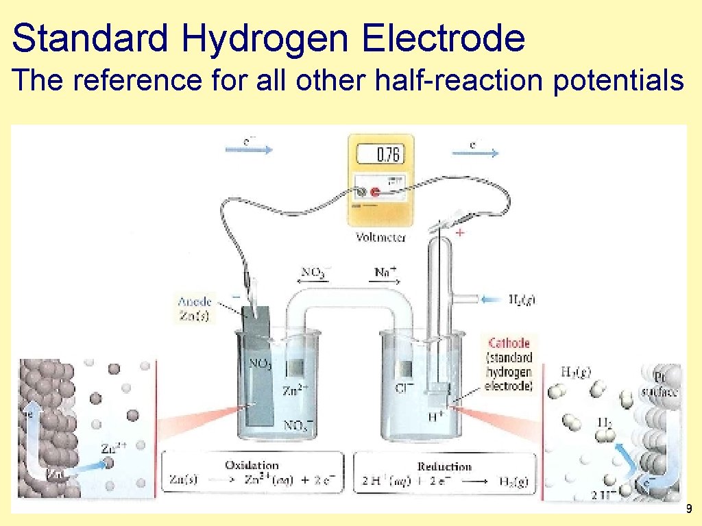 Standard Hydrogen Electrode The reference for all other half-reaction potentials 1. 39 
