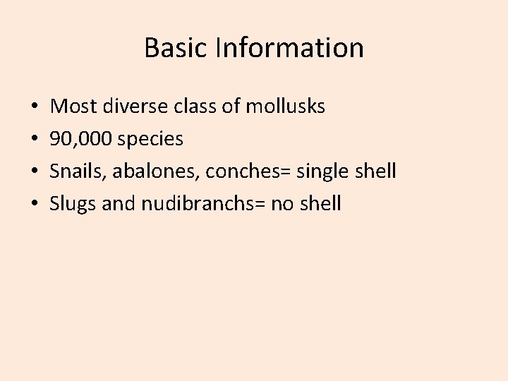 Basic Information • • Most diverse class of mollusks 90, 000 species Snails, abalones,