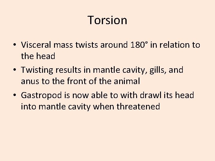 Torsion • Visceral mass twists around 180° in relation to the head • Twisting