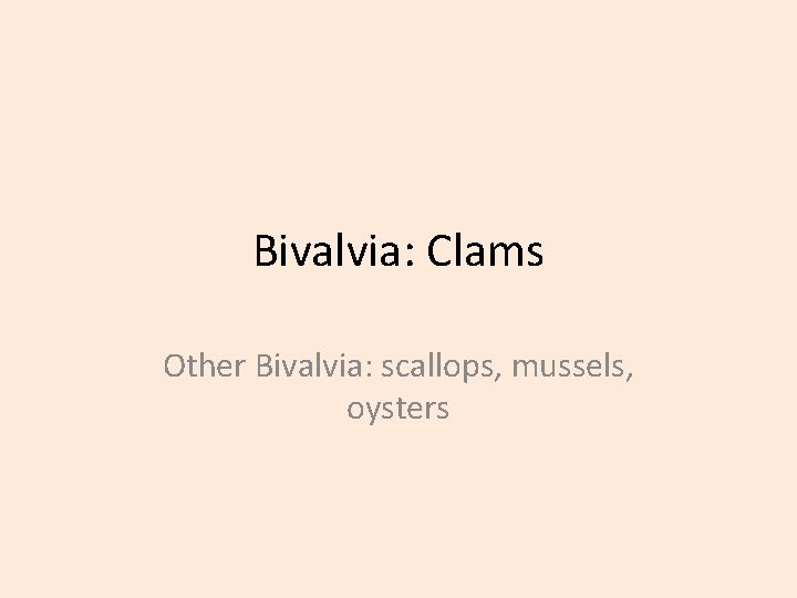 Bivalvia: Clams Other Bivalvia: scallops, mussels, oysters 