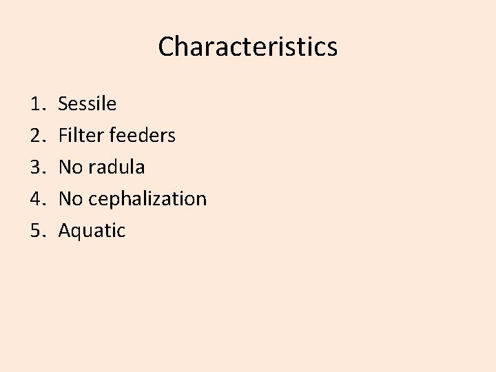 Characteristics 1. 2. 3. 4. 5. Sessile Filter feeders No radula No cephalization Aquatic