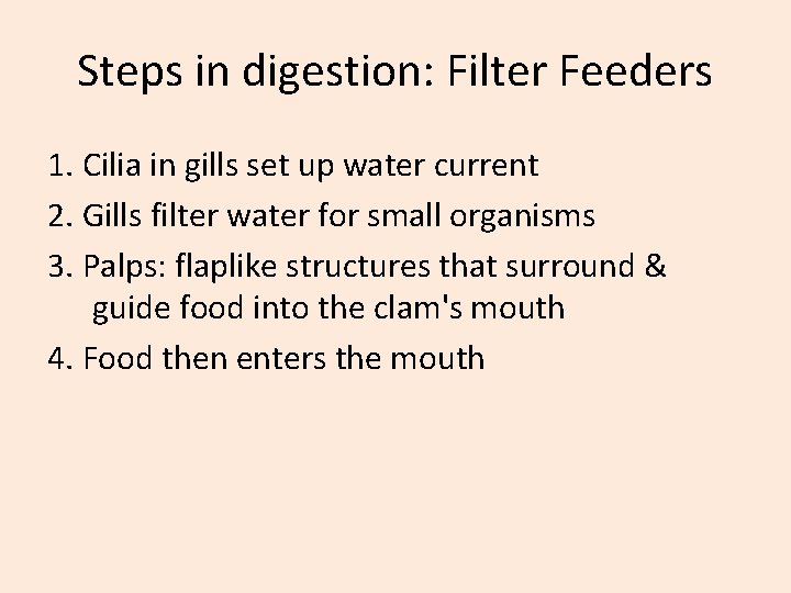 Steps in digestion: Filter Feeders 1. Cilia in gills set up water current 2.