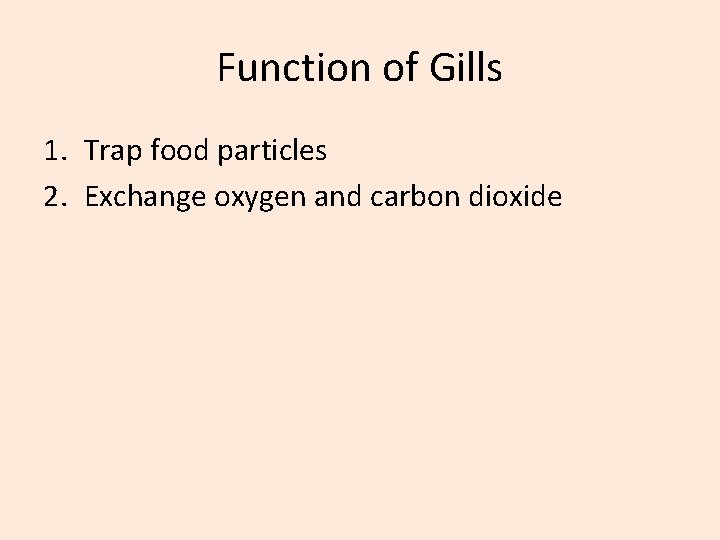 Function of Gills 1. Trap food particles 2. Exchange oxygen and carbon dioxide 