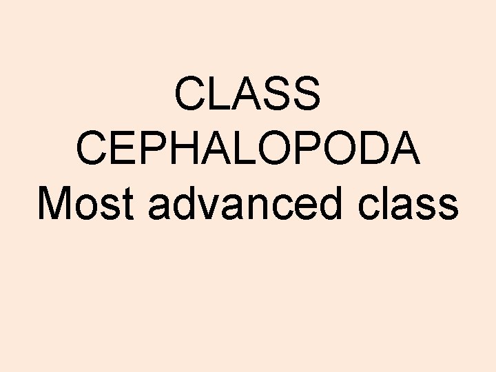 CLASS CEPHALOPODA Most advanced class 