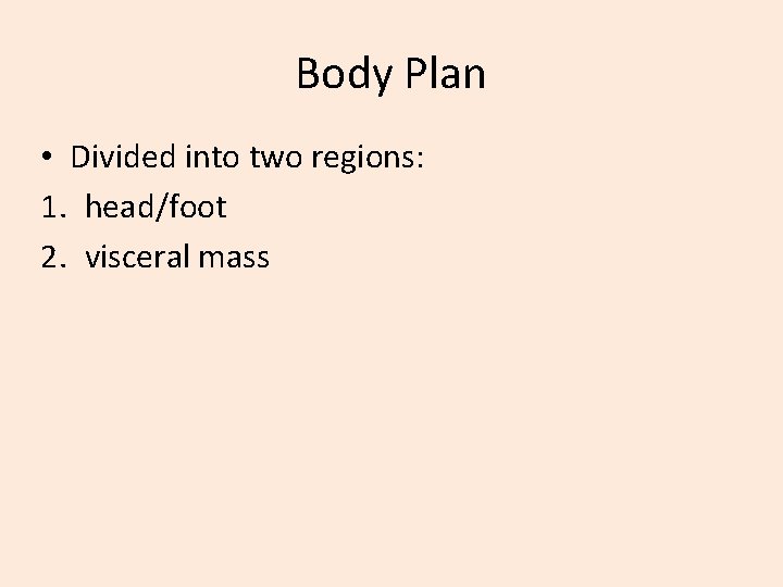Body Plan • Divided into two regions: 1. head/foot 2. visceral mass 