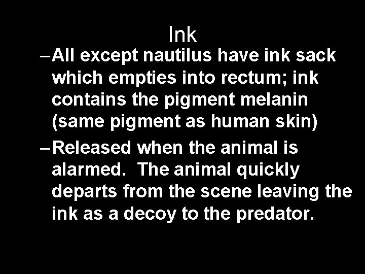 Ink – All except nautilus have ink sack which empties into rectum; ink contains