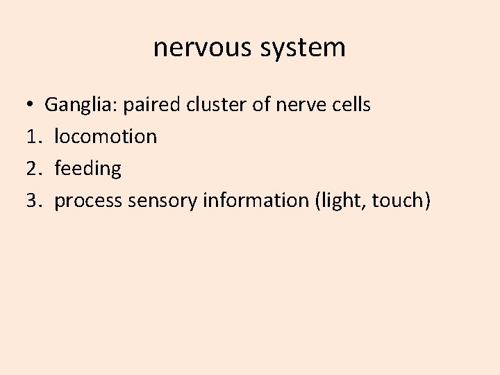 nervous system • Ganglia: paired cluster of nerve cells 1. locomotion 2. feeding 3.