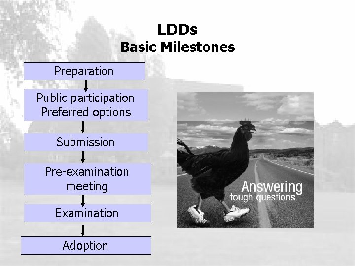 LDDs Basic Milestones Preparation Public participation Preferred options Submission Pre-examination meeting Examination Adoption 