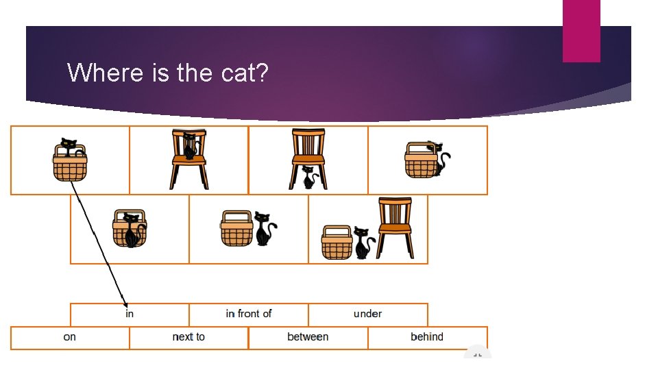 Where is the cat? Where is the cat?