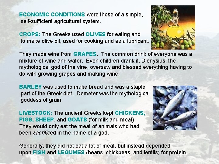 ECONOMIC CONDITIONS were those of a simple, self-sufficient agricultural system. CROPS: The Greeks used ECONOMIC CONDITIONS were those of a simple, self-sufficient agricultural system. CROPS: The Greeks used