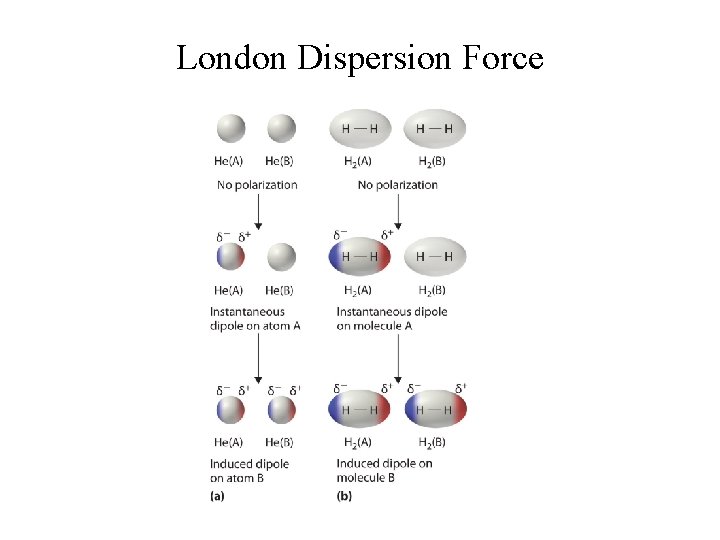 London Dispersion Force 