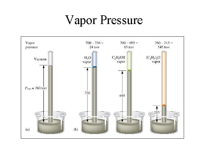 Vapor Pressure 