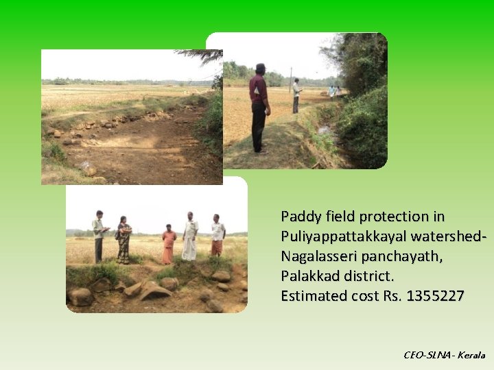 Paddy field protection in Puliyappattakkayal watershed- Nagalasseri panchayath, Palakkad district. Estimated cost Rs. 1355227