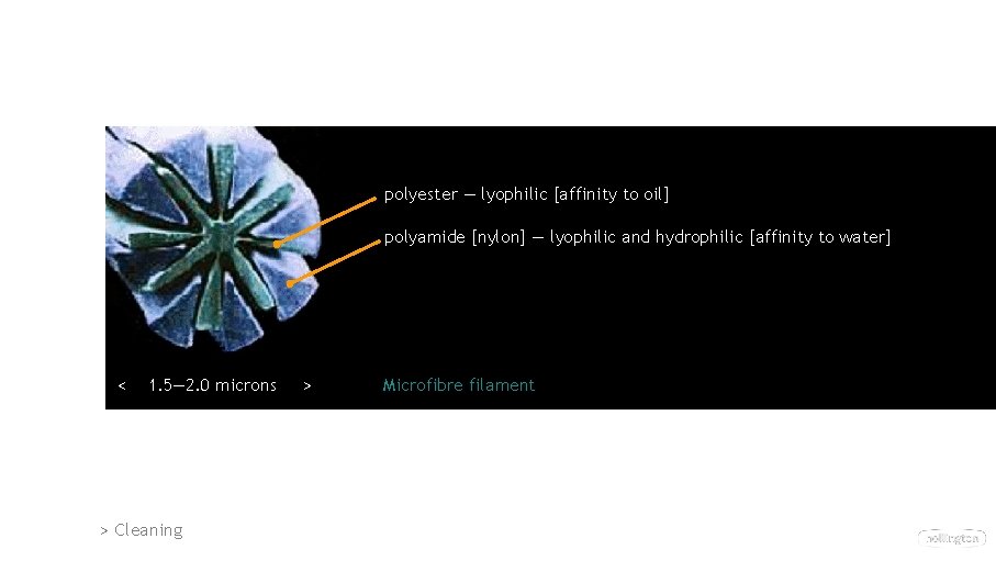polyester — lyophilic [affinity to oil] polyamide [nylon] — lyophilic and hydrophilic [affinity to
