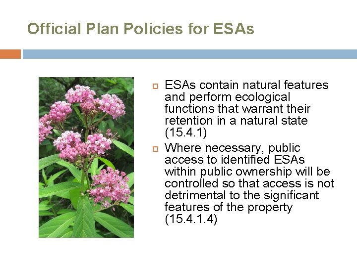 Official Plan Policies for ESAs contain natural features and perform ecological functions that warrant