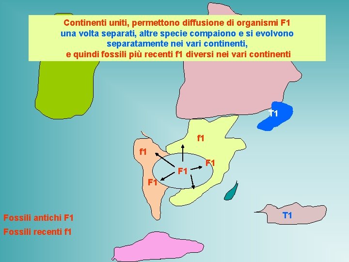 Continenti uniti, permettono diffusione di organismi F 1 una volta separati, altre specie compaiono