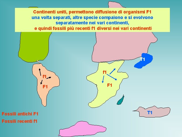 Continenti uniti, permettono diffusione di organismi F 1 una volta separati, altre specie compaiono