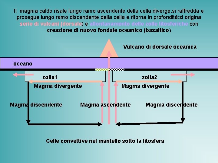 Il magma caldo risale lungo ramo ascendente della cella: diverge, si raffredda e prosegue