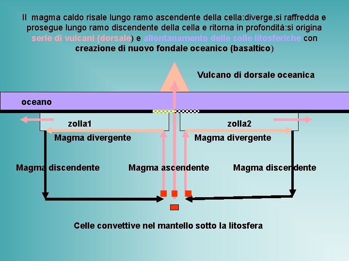 Il magma caldo risale lungo ramo ascendente della cella: diverge, si raffredda e prosegue