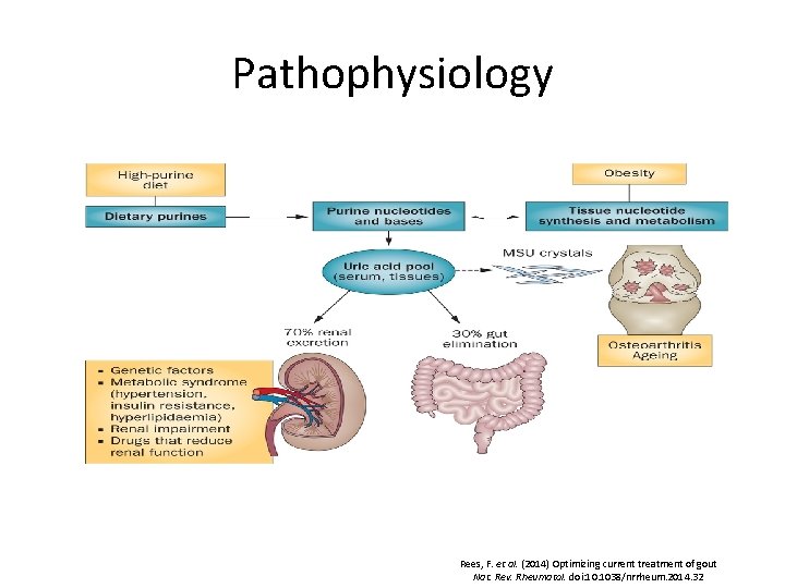 Pathophysiology Rees, F. et al. (2014) Optimizing current treatment of gout Nat. Rev. Rheumatol.