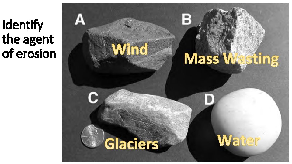 Identify the agent of erosion Identify the agent of erosion