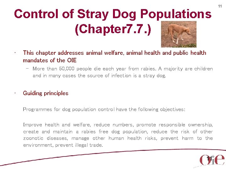 Control of Stray Dog Populations (Chapter 7. 7. ) • This chapter addresses animal