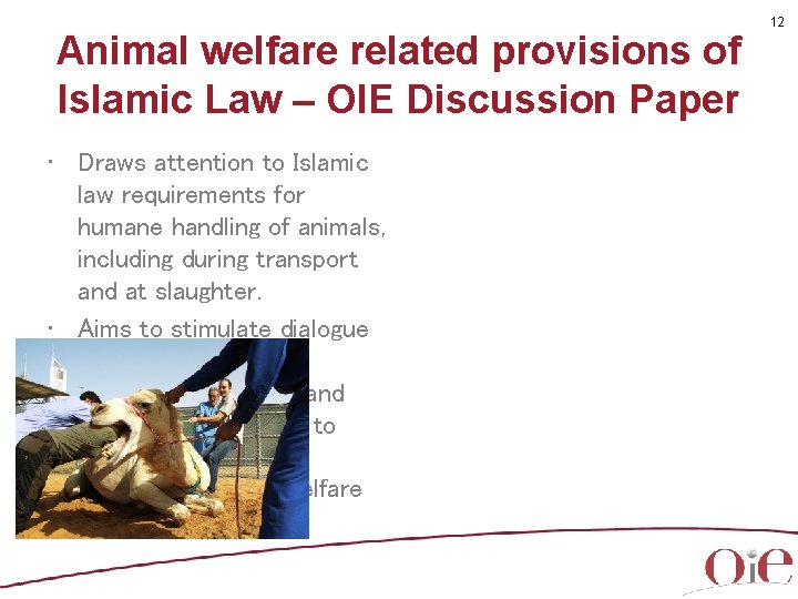 Animal welfare related provisions of Islamic Law – OIE Discussion Paper • Draws attention