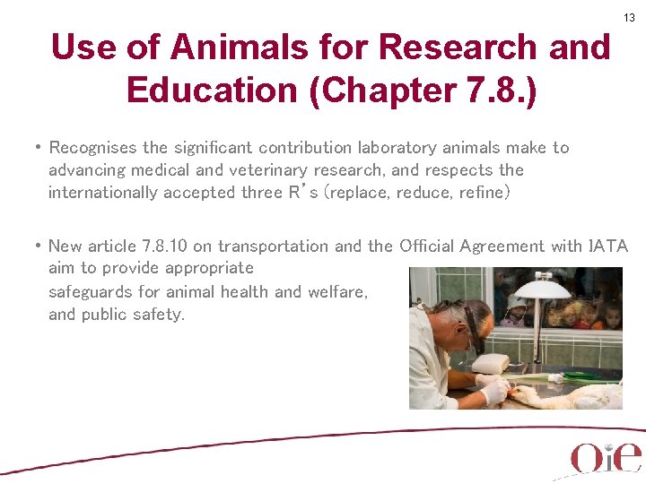 13 Use of Animals for Research and Education (Chapter 7. 8. ) • Recognises