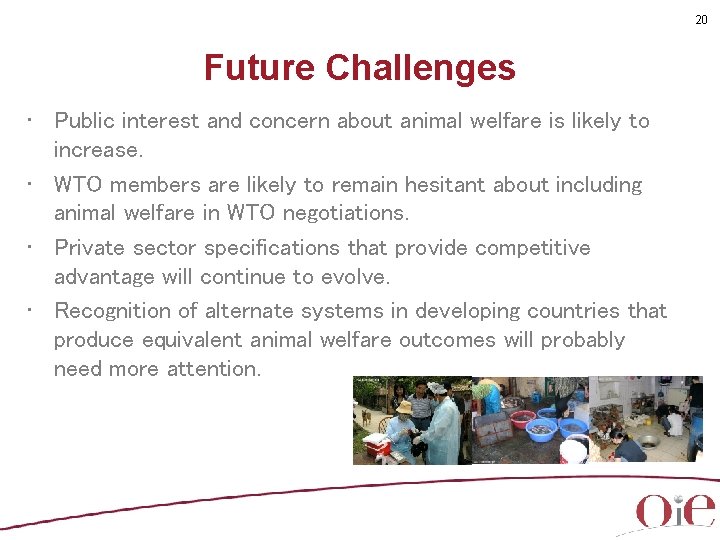 20 Future Challenges • Public interest and concern about animal welfare is likely to