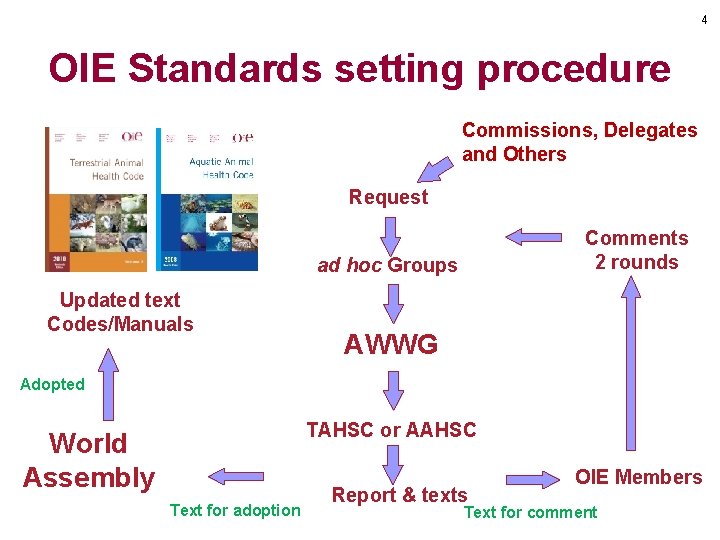 4 OIE Standards setting procedure Commissions, Delegates and Others Request Comments 2 rounds ad