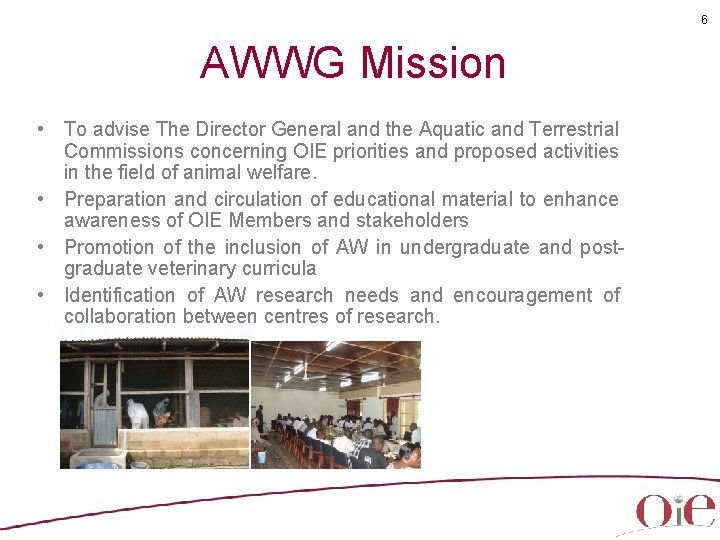 6 AWWG Mission • To advise The Director General and the Aquatic and Terrestrial