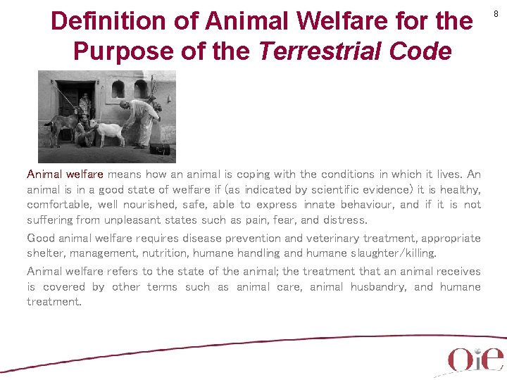 Definition of Animal Welfare for the Purpose of the Terrestrial Code Animal welfare means