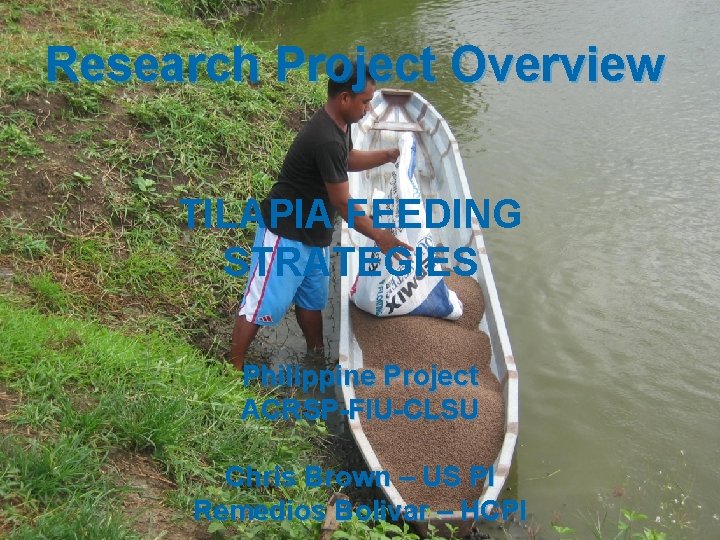 Research Project Overview TILAPIA FEEDING STRATEGIES Philippine Project ACRSP-FIU-CLSU Chris Brown – US PI