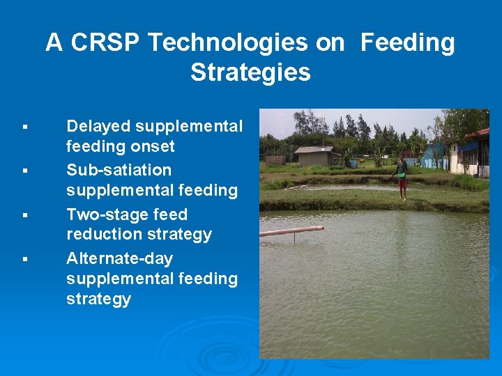 A CRSP Technologies on Feeding Strategies § § Delayed supplemental feeding onset Sub-satiation supplemental