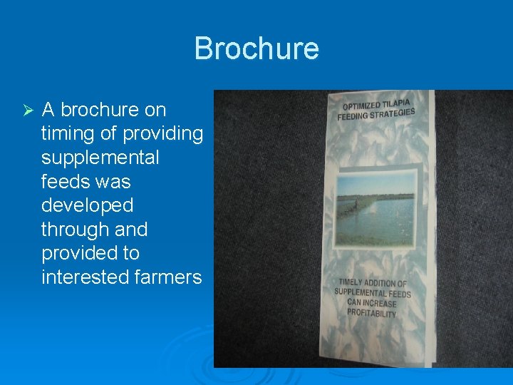 Brochure Ø A brochure on timing of providing supplemental feeds was developed through and