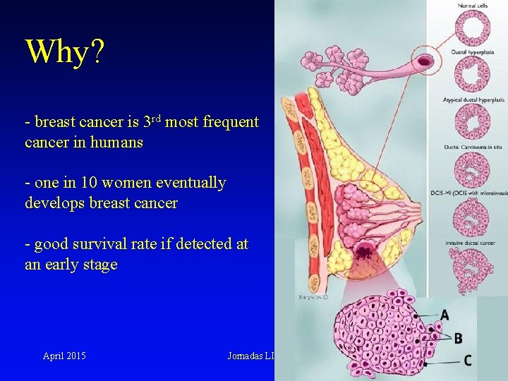 Why? - breast cancer is 3 rd most frequent cancer in humans - one