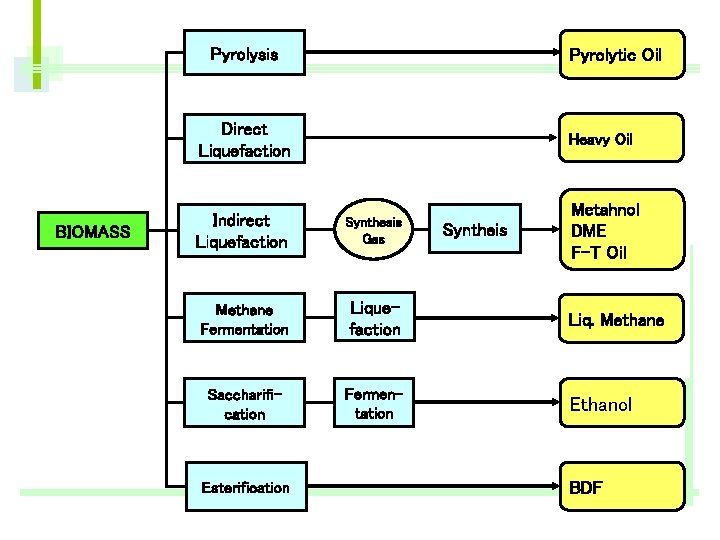 Pyrolysis Pyrolytic Oil Direct Liquefaction BIOMASS Heavy Oil Metahnol DME F-T Oil Indirect Liquefaction