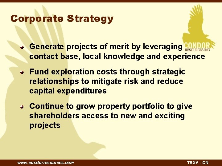 Corporate Strategy Generate projects of merit by leveraging contact base, local knowledge and experience