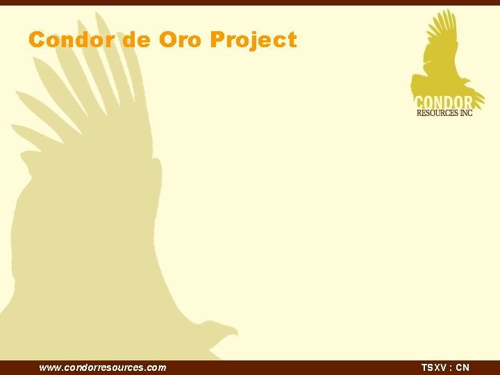 Condor de Oro Project www. condorresources. com TSXV : CN 