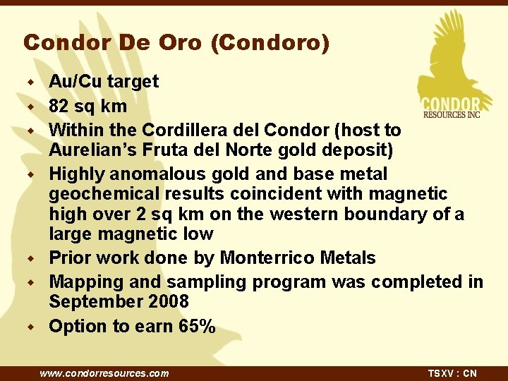 Condor De Oro (Condoro) w w w w Au/Cu target 82 sq km Within